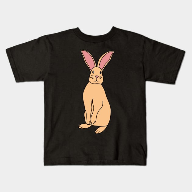 Bunny Rabbit Kids T-Shirt by Kelly Louise Art